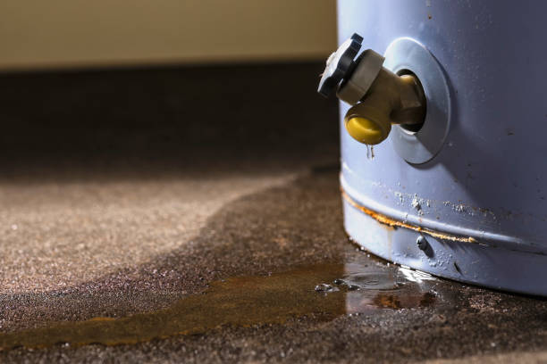 Best Water damage restoration experts  in De Smet, SD