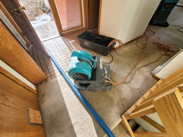 Best Water damage cleanup near me  in De Smet, SD