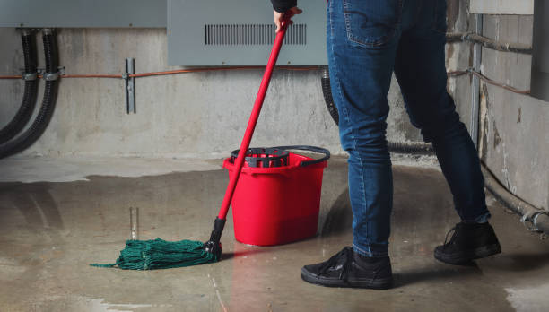 Best Mold removal after water damage  in De Smet, SD