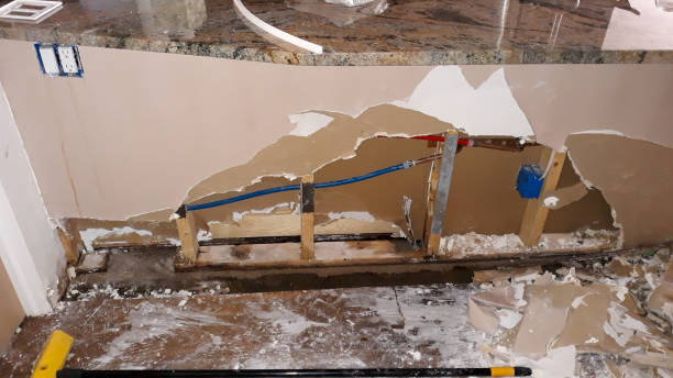 Best Sewage cleanup and water damage restoration  in De Smet, SD