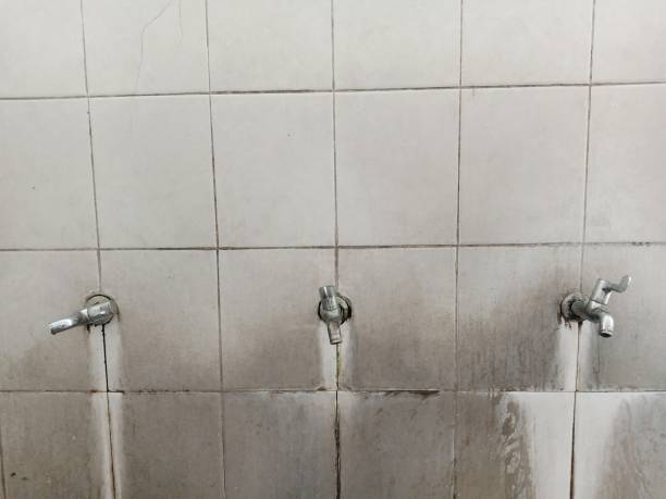 Best 24/7 water damage repair  in De Smet, SD