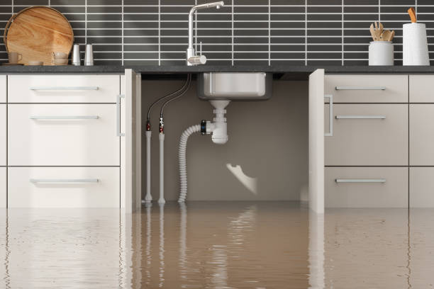Best Water damage restoration near me  in De Smet, SD